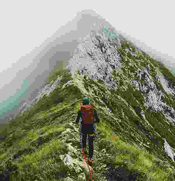 Listing Taxonomy Image