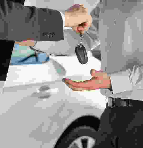 Listing Taxonomy Image